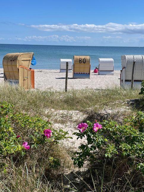 Fewo-Mit-Terasse-U-Garten-Am-Golfplatz Wulfen auf Fehmarn Εξωτερικό φωτογραφία