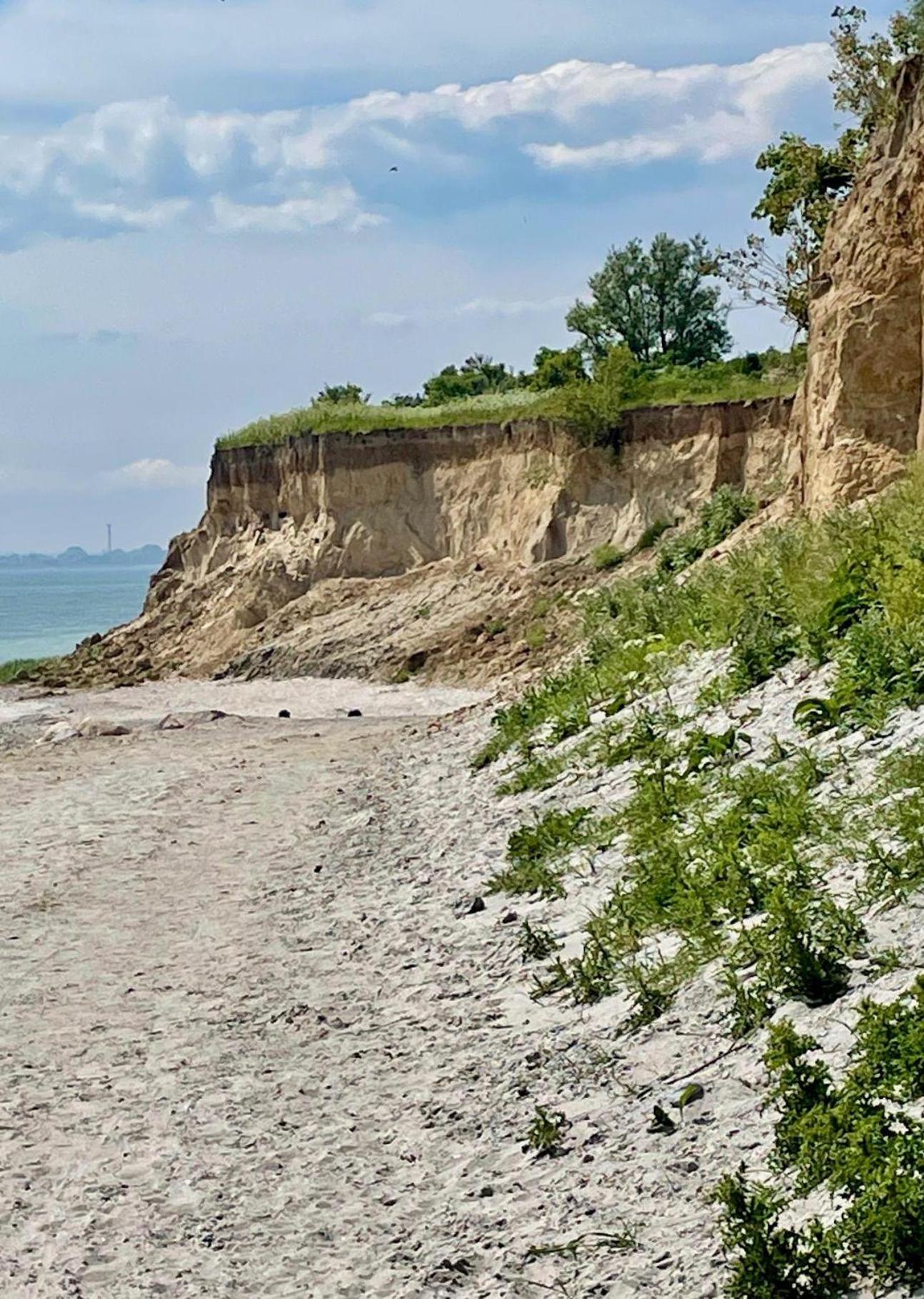 Fewo-Mit-Terasse-U-Garten-Am-Golfplatz Wulfen auf Fehmarn Εξωτερικό φωτογραφία